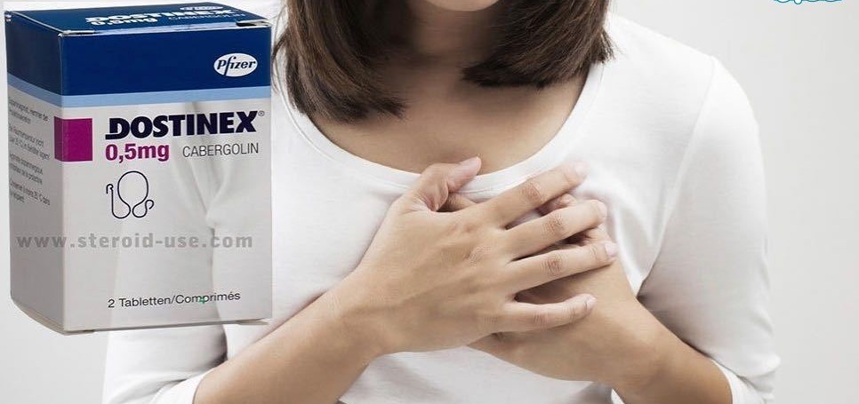🟦 قرص داستینکس چیست و چه کاربردی دارد؟ — همه چیز درباره داستینکس